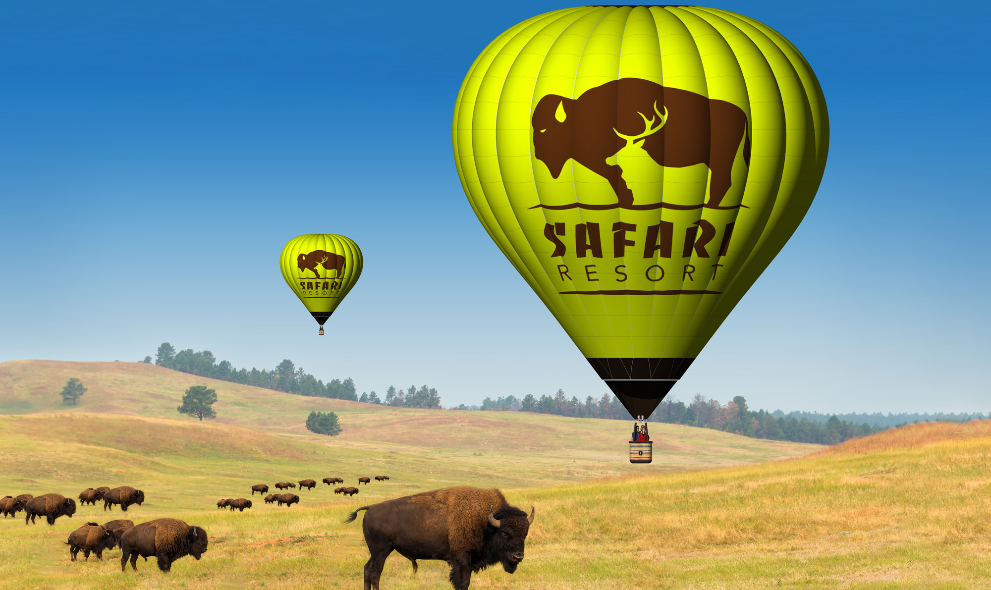 Safari Resort