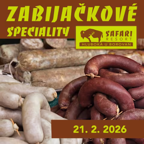 Zabijačka na Safari